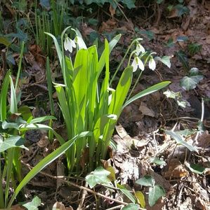 Meet your Posher, Christa